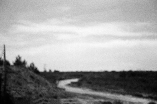 Frédérique Dimarco