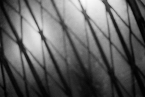 Frédérique Dimarco