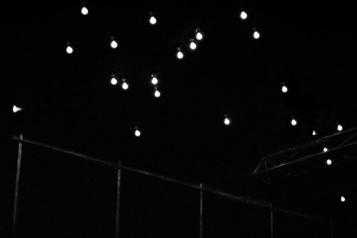 Frédérique Dimarco