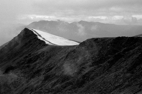 Frédérique Dimarco