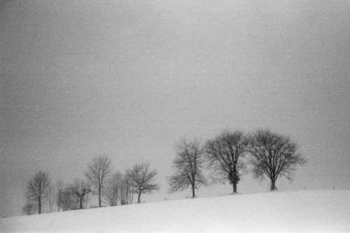 Frédérique Dimarco