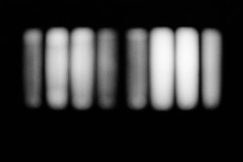 Frédérique Dimarco