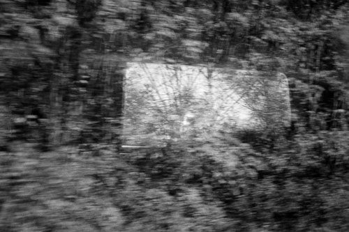 Frédérique Dimarco