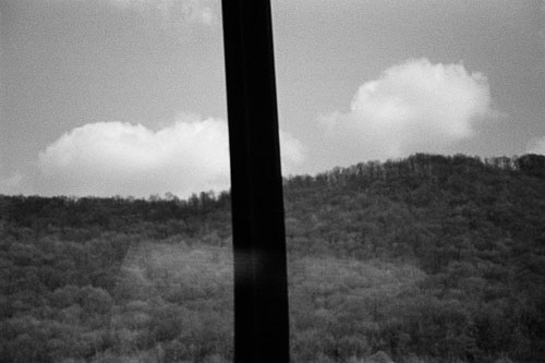 Frédérique Dimarco