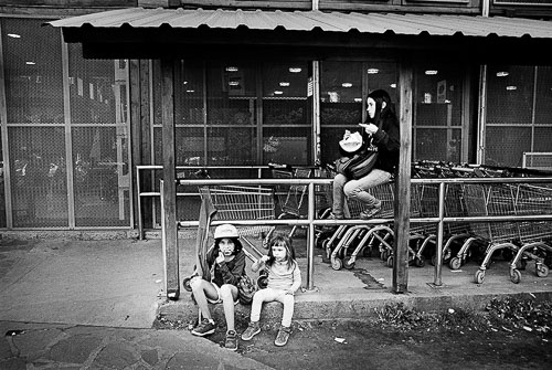 Simon Vansteenwinckel