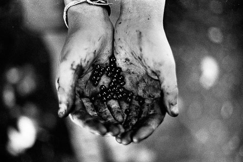 Simon Vansteenwinckel