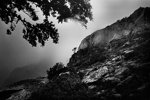 Simon Vansteenwinckel