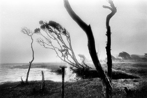 Simon Vansteenwinckel