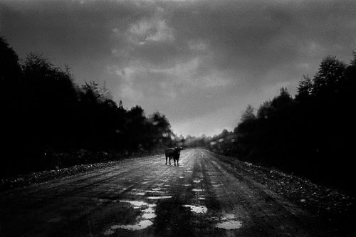 Simon Vansteenwinckel