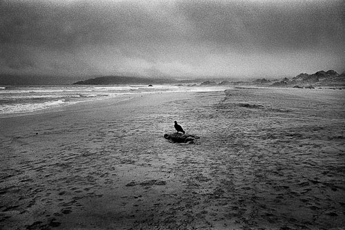 Simon Vansteenwinckel