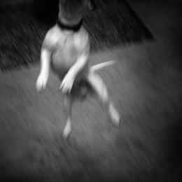 Anne-Sophie Costenoble